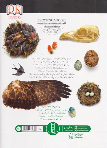 شاهد عینی پرندگان